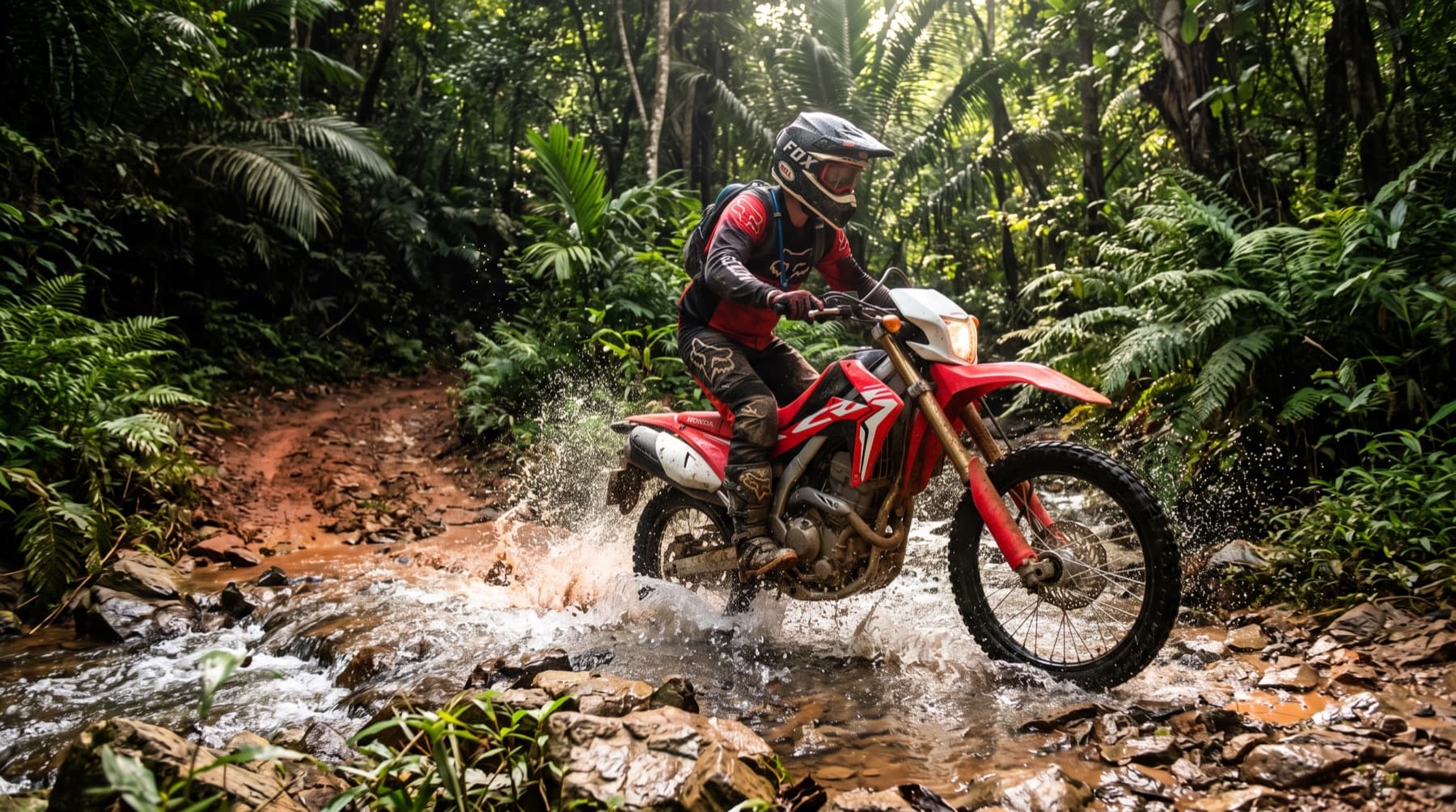 Da Nang jungle trails