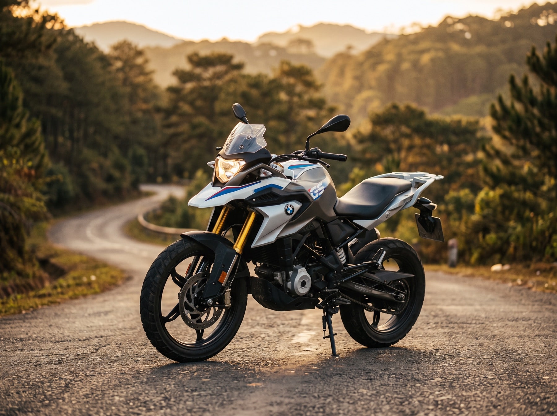 BMW G 310 GS