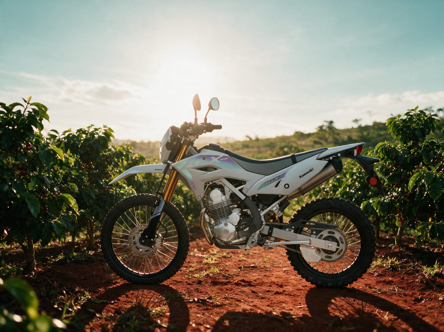 Kawasaki KLX 230