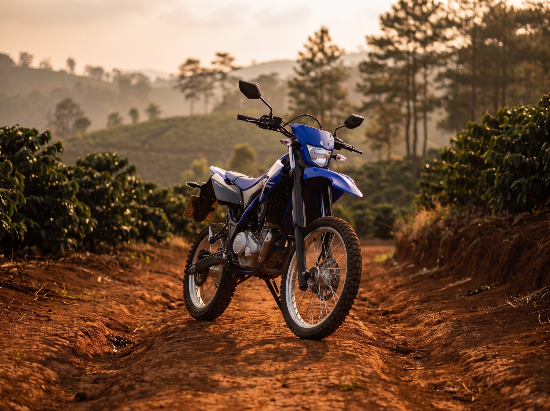Yamaha WR155R